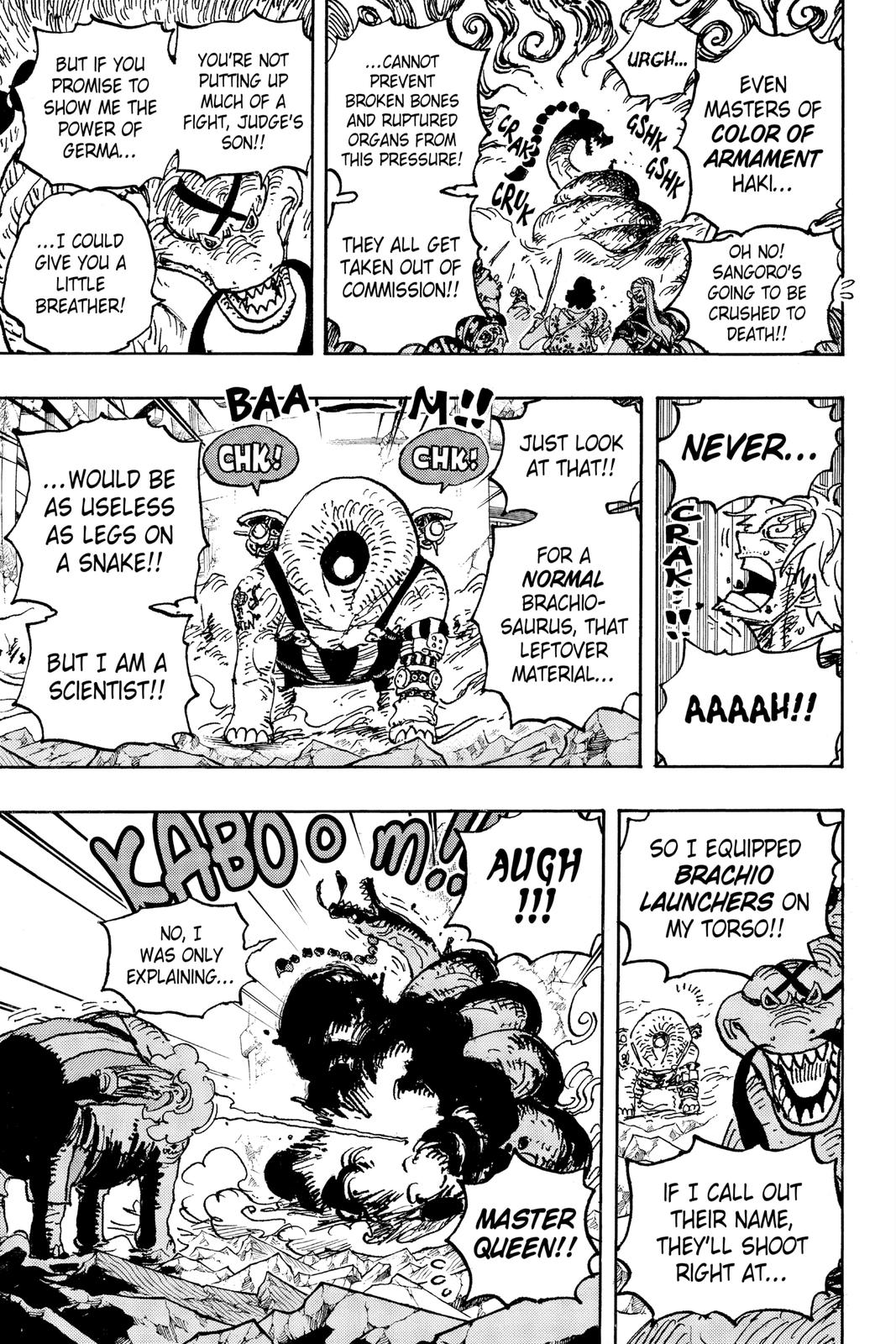 One Piece, Chapter 1028 image 15
